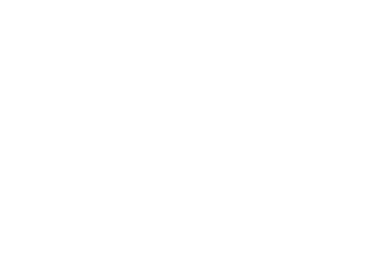 United Front for Jewish Life